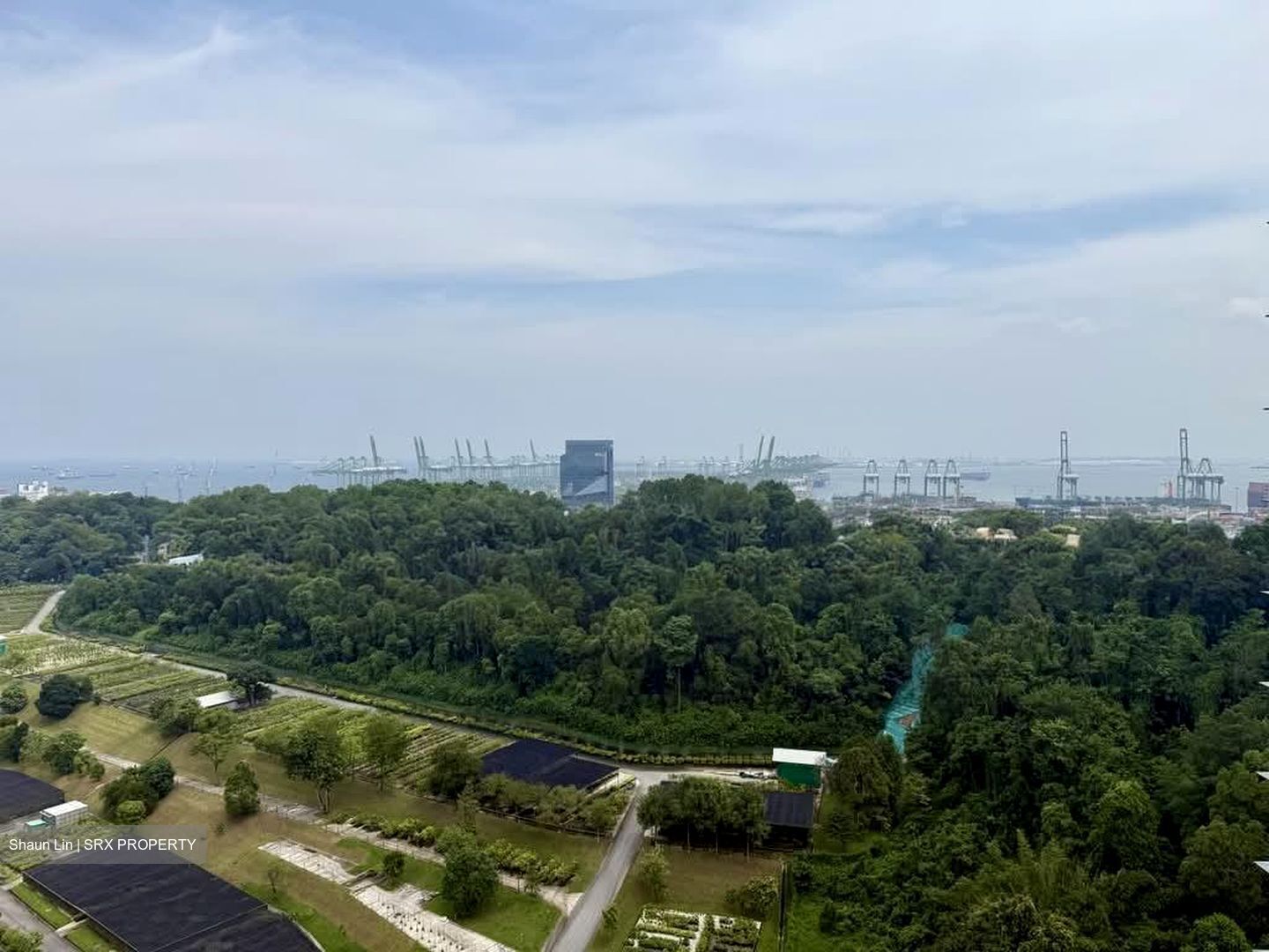 Normanton Park (D5), Apartment #595907721